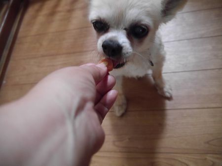 りーふおやつ2.jpg