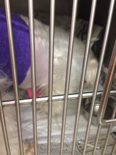 さとさと2.jpg