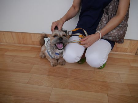 ごん7.jpg