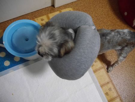 からー1.jpg