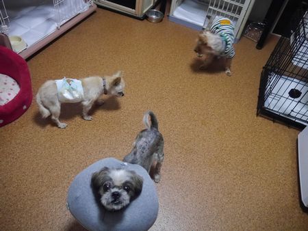 からー4.jpg