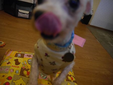 きゅー5.jpg