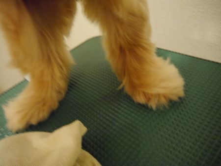 ふろ2.jpg