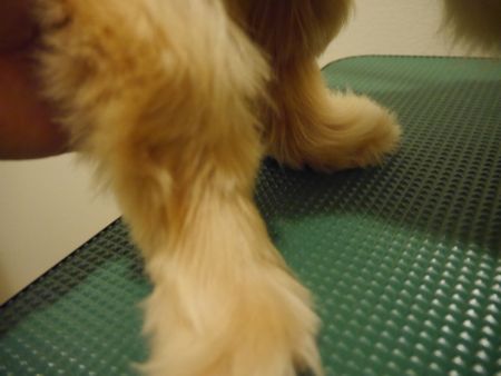 ふろ4.jpg