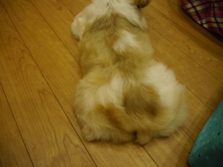 ふろ6.jpg