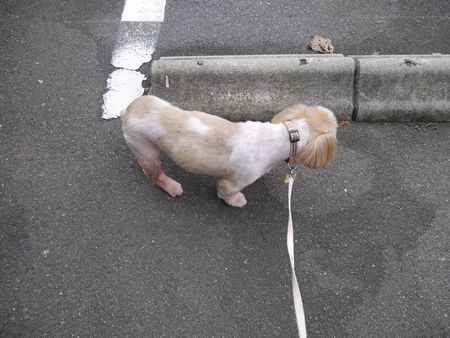 あやとり3.jpg