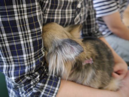きき6.jpg