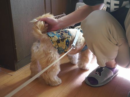 なお6.jpg
