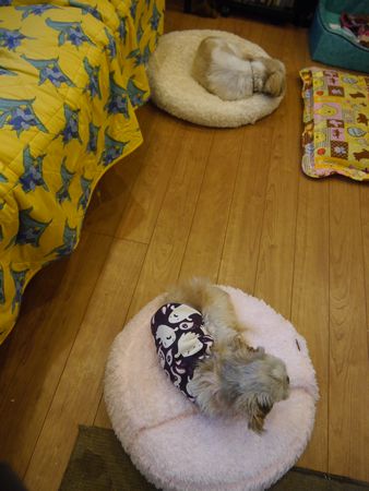 まし2.jpg