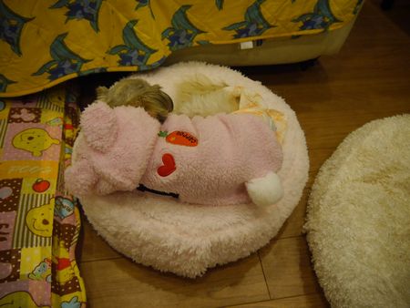 とと3.jpg