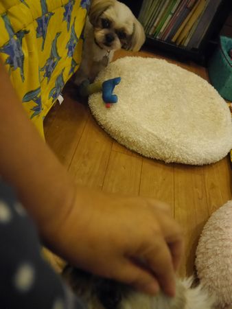 やき3.jpg