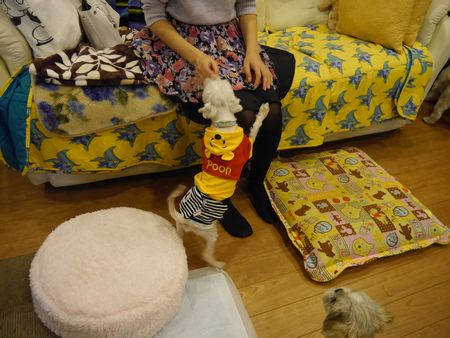 きゅー1.jpg