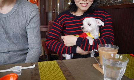 きゅー7.jpg