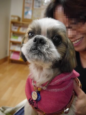 ひろとら5.jpg