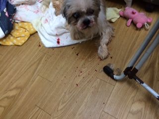 びーな4.jpg