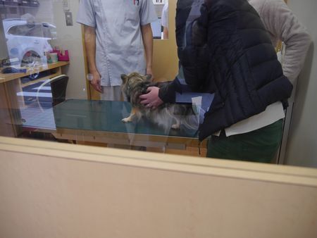 びょういん5.jpg