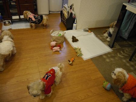 にん6.jpg