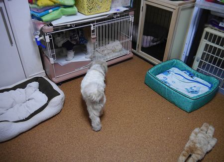 にん9.jpg