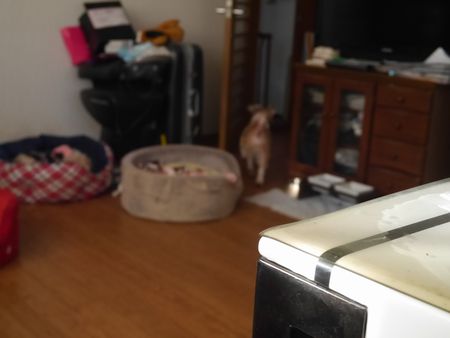 とにー6.jpg
