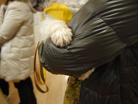 ひきつぎ5.jpg
