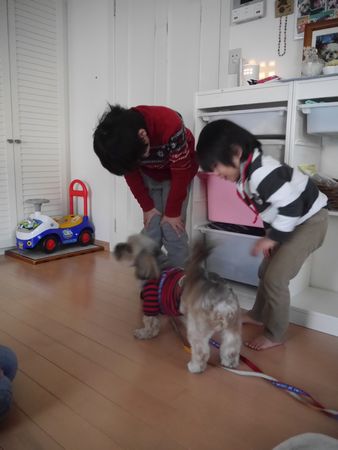ゴン太お見合い1.jpg