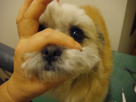 はっしゃん1.jpg