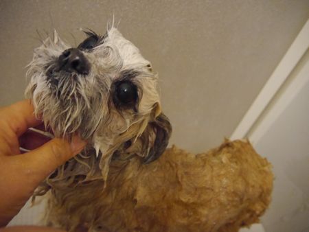 はっしゃん6.jpg