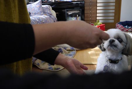 めぐすり1.jpg