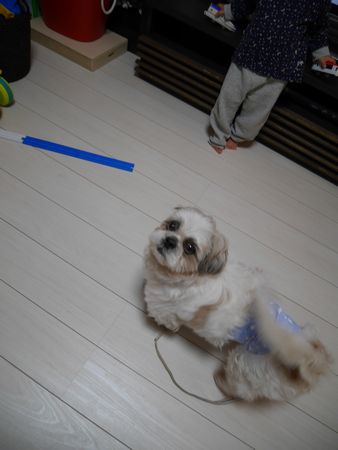いどう24.jpg