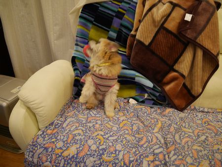 はっちゃん5.jpg