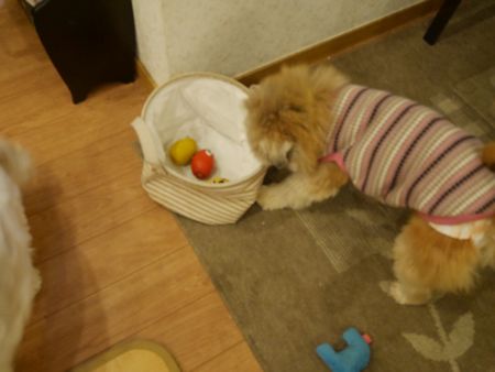 はっちゃん6.jpg