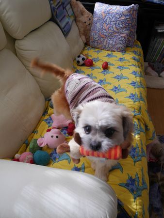 はっちゃん8.jpg