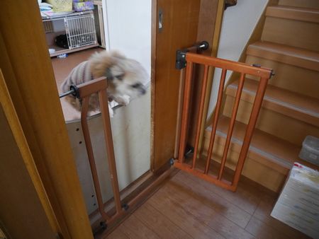 はこ2.jpg