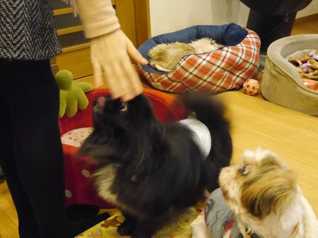 はる6.jpg