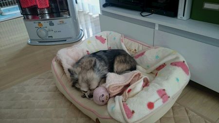 きき1.jpg