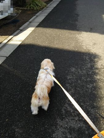 まる.jpg