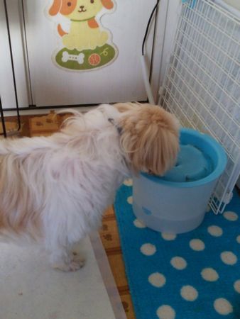 まる3.jpg