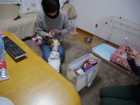 きとら2.jpg