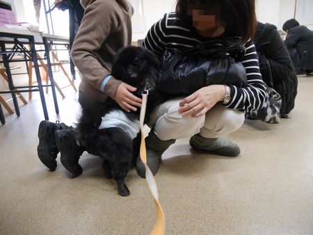 さとおやかい4.jpg