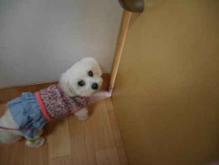 せいこ5.jpg