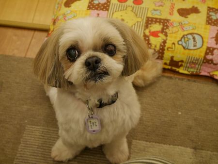 20150125_1525123.jpg