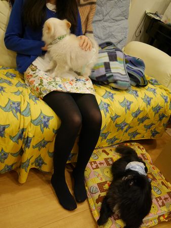 あましろ1.jpg
