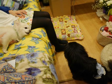あましろ4.jpg