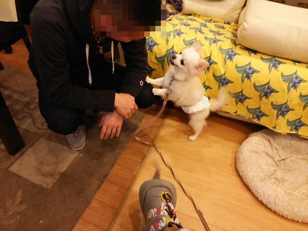 しろ2.jpg