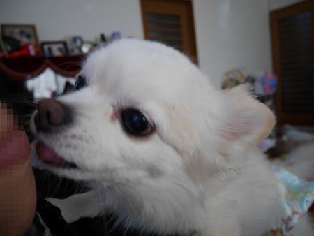 しんぶん3.jpg