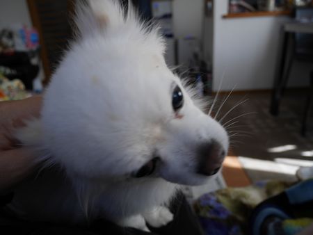 しんぶん4.jpg
