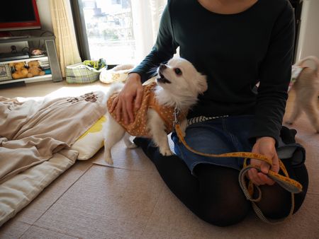 しろいどう1.jpg