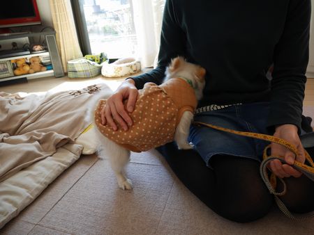 しろいどう2.jpg