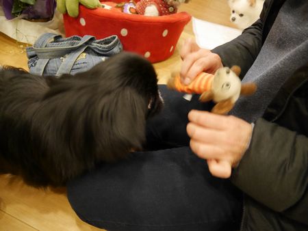 はるがぶ9.jpg