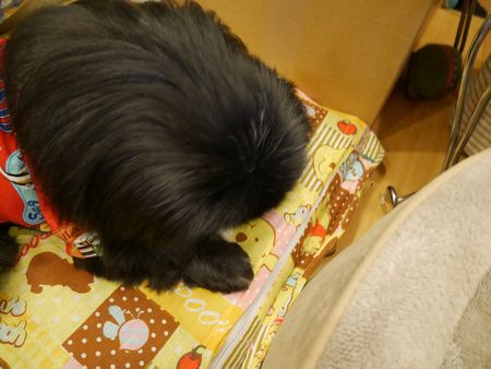 だいこん3.jpg
